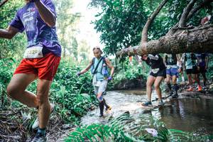 BIB: 
                            <button type="button" onclick="openModal(25459912)" class="btn btn-primary btn-sm float-right btn-popup" data-toggle="modal" data-target=".modal-high-quality">
                        <i class="fas fa-shopping-cart"></i> Add to Cart
                    </button>
                                            <button type="button" onclick="isThisMe(25459912, true)" class="btn btn-success btn-sm float-right btn-popup btn-isme hidden" data-toggle="tooltip" data-placement="bottom" title="นี่คือรูปของคุณใช่ไหม คลิกที่นี่เพื่อเอาเข้าอัลบั้ม">
                        <i class="fas fa-plus"></i> Add to album
                    </button>
                    <button type="button" onclick="isThisMe(25459912, false)" class="btn btn-warning btn-sm float-right btn-popup btn-isnotme hidden">
                        <i class="fas fa-ban"></i> Remove from album
                    </button>